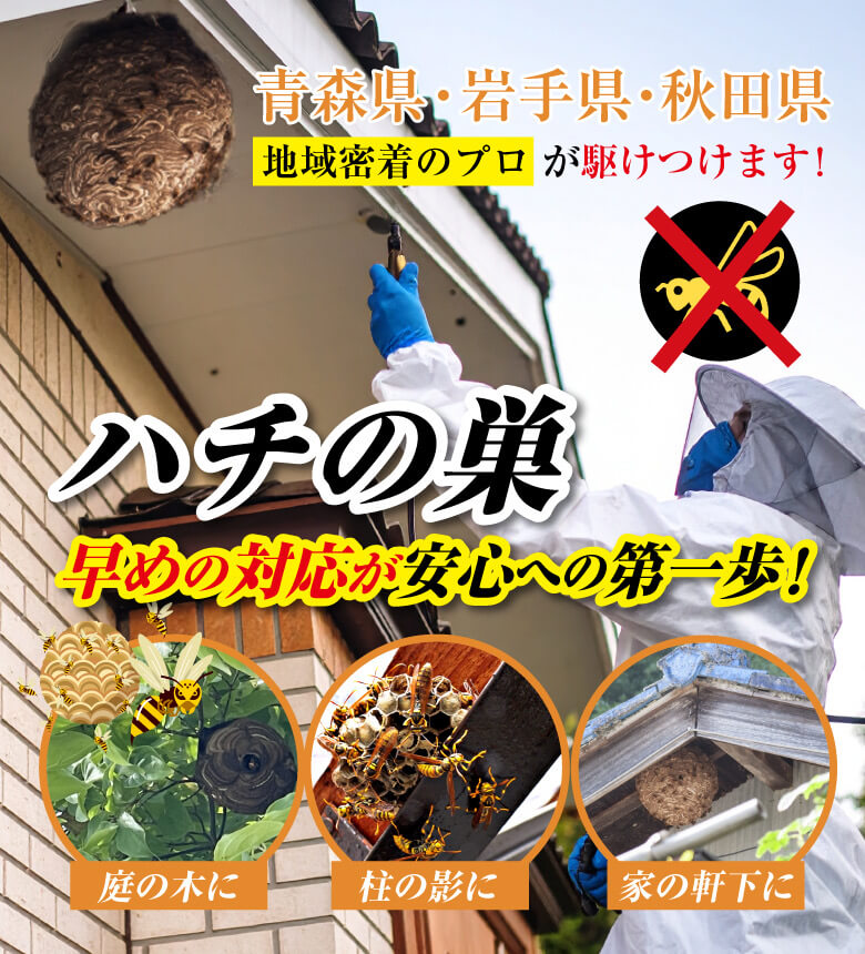 ハチの巣早めの対応が安心の第一歩